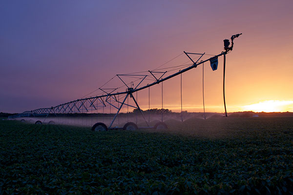 Water Reel